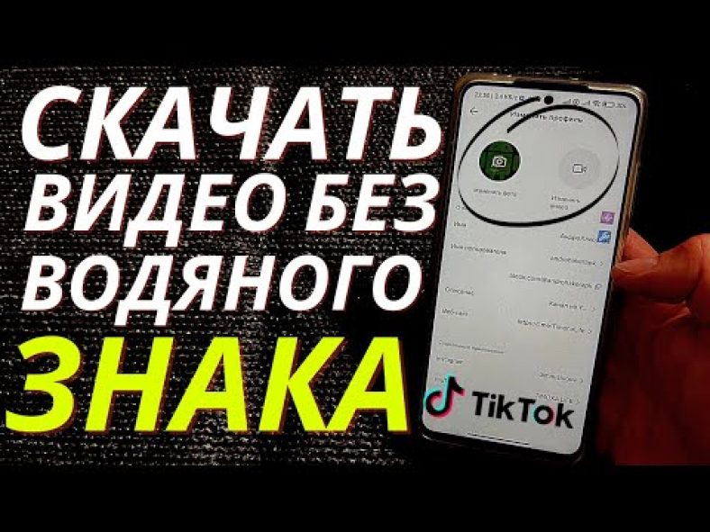 Как скачать видео с TikTok без водяного знака