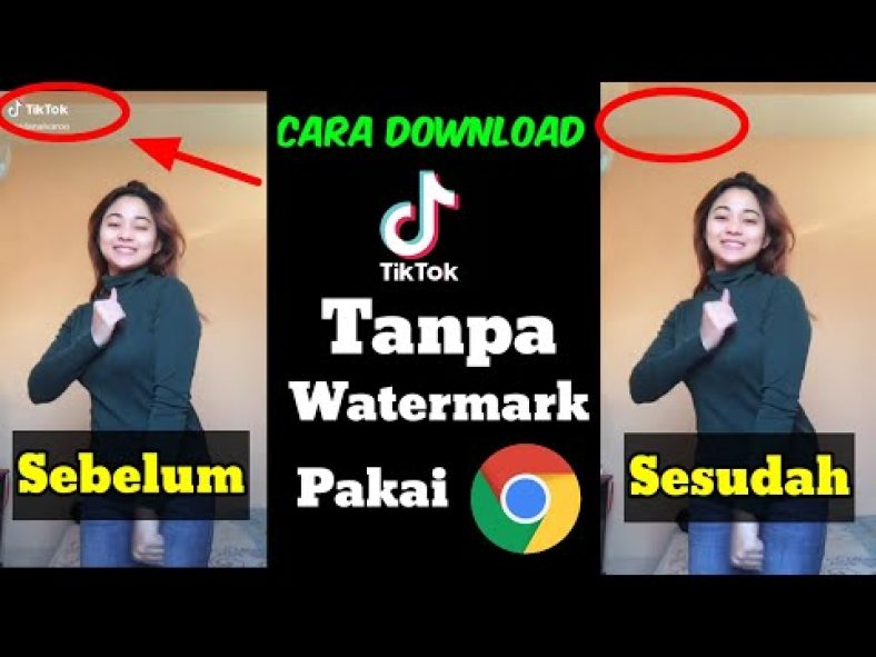 Cara download video tiktok tanpa watermark