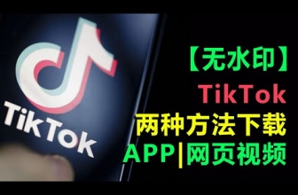 如何下载没有水印的 TikTok 视频